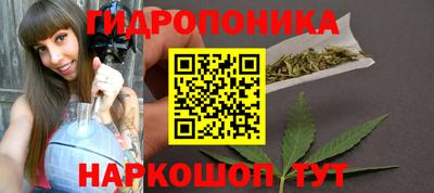 трава Кандалакша