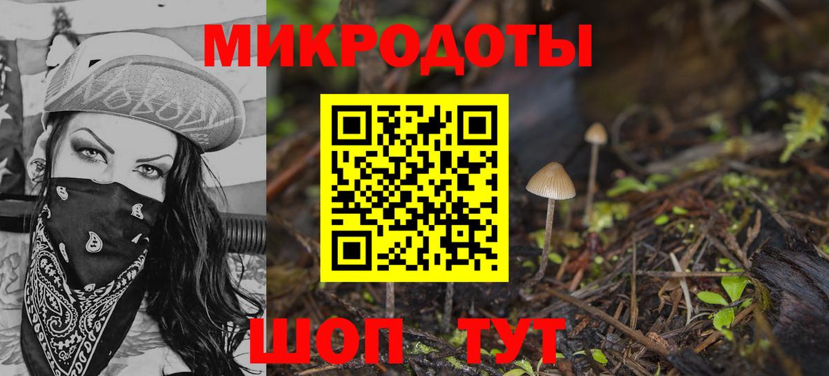 купить наркотики цена  Галлюциногенные грибы Psilocybine cubensis  Вход с VPN  Похвистнево 